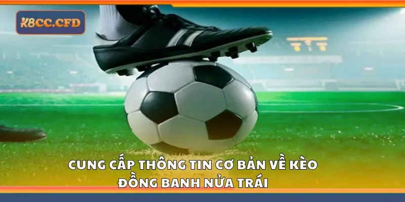 Cung cấp thông tin cơ bản về kèo đồng banh nửa trái