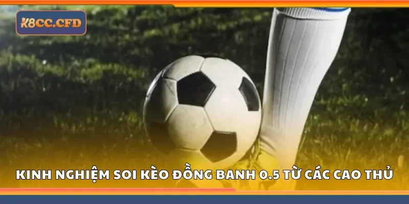 Kinh nghiệm soi kèo đồng banh 0.5 từ các cao thủ