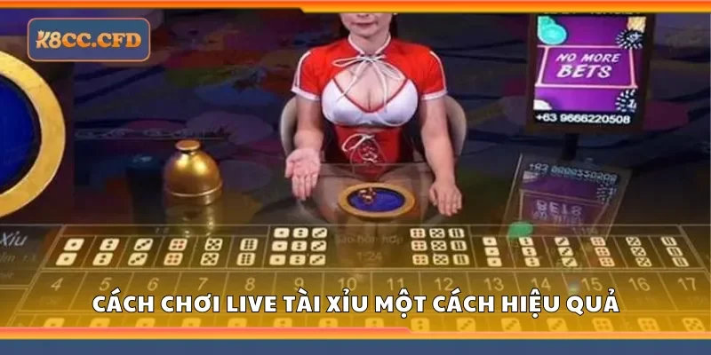 Cách chơi Live tài xỉu một cách hiệu quả