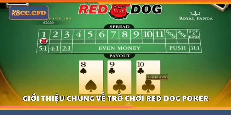 Giới thiệu chung về trò chơi red dog poker