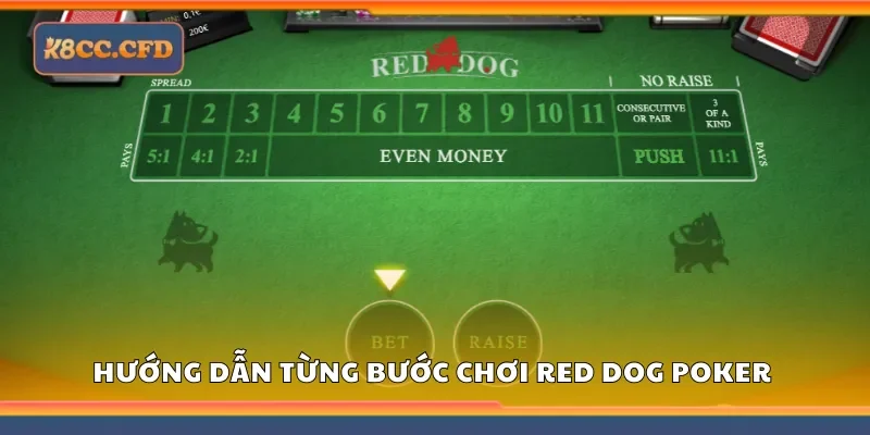 Hướng dẫn từng bước chơi red dog poker từ A đến Z